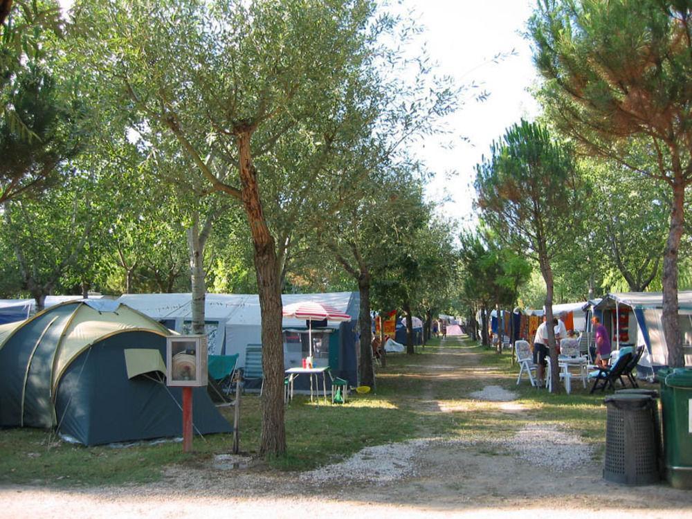 Badiaccia Village Village de vacances Castiglione del Lago